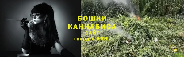 PSILOCYBIN Нязепетровск