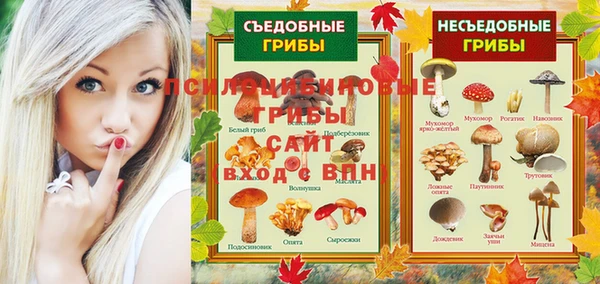 PSILOCYBIN Нязепетровск