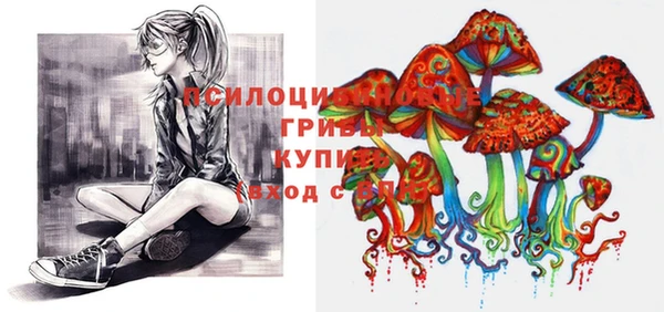 PSILOCYBIN Нязепетровск