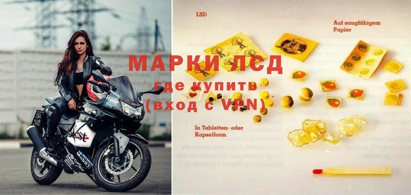 PSILOCYBIN Нязепетровск