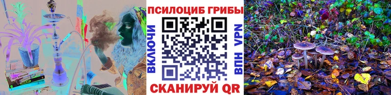 Купить  Старая Купавна  Галлюциногенные грибы Psilocybe 